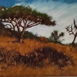 The Acacia Tree #1 (Art by Dean)