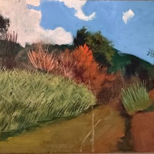 Hidden Stream #1 (Art by Dean)