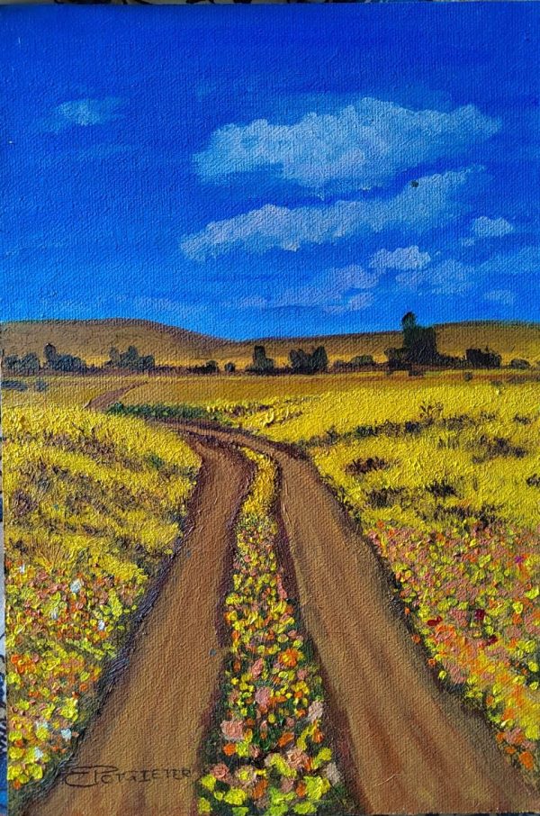 Namaqualand #2 (Art by Erica)