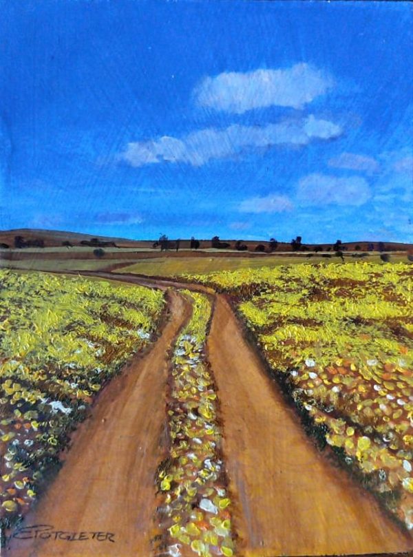 Namaqualand #1 (Art by Erica)