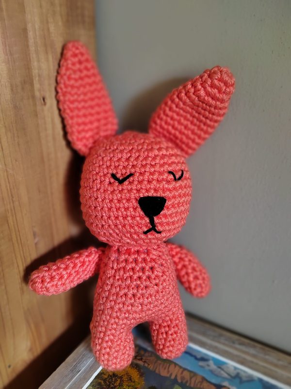 Toy - Rabbit #6