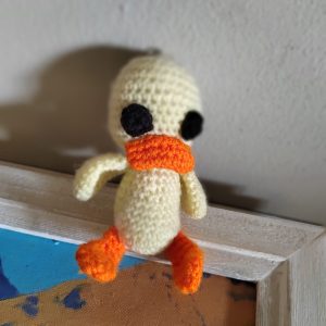 Toy - Duck #1